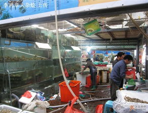 探訪深圳錦繡大地農副產品批發市場 海鮮檔的鮮活匠心